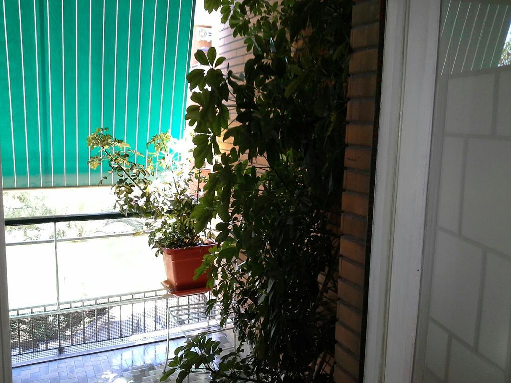 Olimpica Relais Guest House Rome Luaran gambar